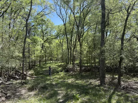 tbd Anchor Ranch Loop, Flatonia, TX 78941 photo 10