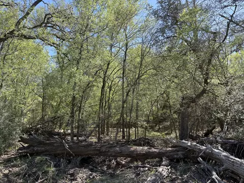 tbd Anchor Ranch Loop, Flatonia, TX 78941 photo 13