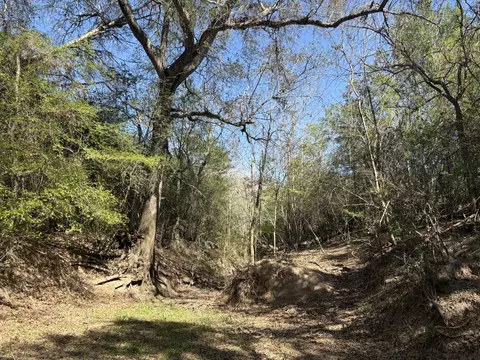 tbd Anchor Ranch Loop, Flatonia, TX 78941 photo 22