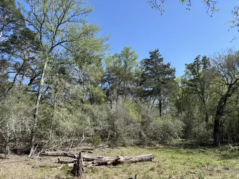 tbd Anchor Ranch Loop, Flatonia, TX 78941 photo 11