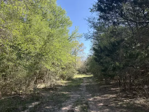 tbd Anchor Ranch Loop, Flatonia, TX 78941 photo 17