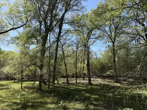 tbd Anchor Ranch Loop, Flatonia, TX 78941 photo 21