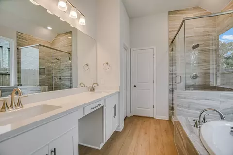 Bath - 270 Smithsonian Ln, Kyle, TX 78640 photo 1 of 4