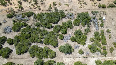 tbd County Road 252, Burnet, TX 78611 photo 21