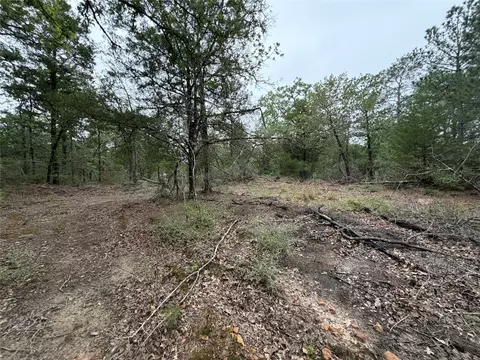 lot17 Old Antioch Rd, Smithville, TX 78957