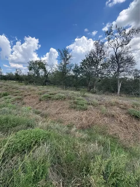 225 Brinley Mae Way, Lockhart, TX 78644