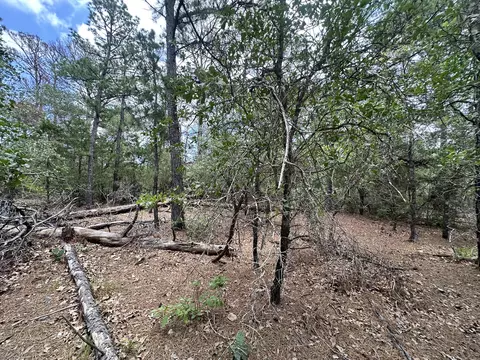 217 Helemano Dr, Bastrop, TX 78602