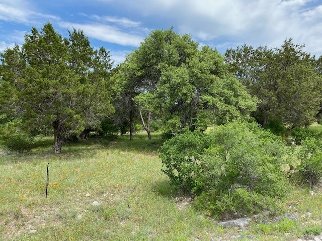 Lot 14135 Purple Sage  