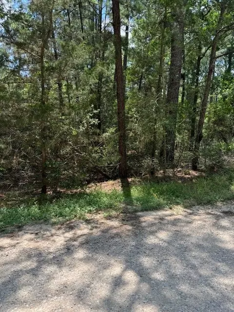 lot250 Hekili Dr, Bastrop, TX 78602
