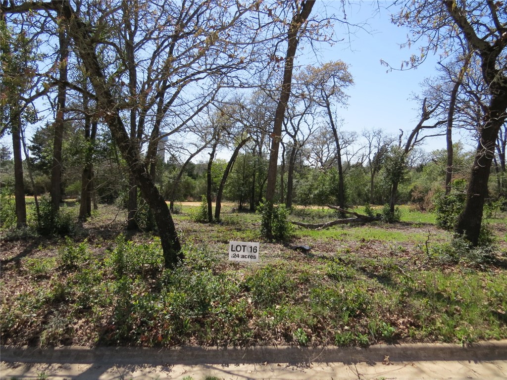 0 - lot 16 Ortega St  