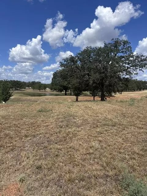 lot41 109 Baurenhof Ct, Fredericksburg, TX 78624