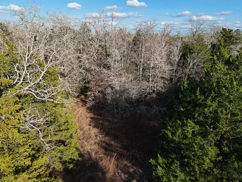 lot11 Antioch Rd, Paige, TX 78659