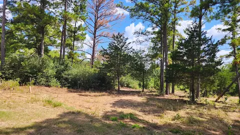 tbd Modock Dr, Bastrop, TX 78602 photo 2