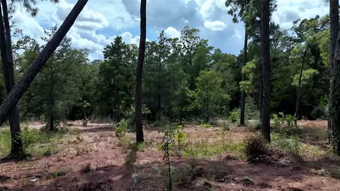 tbd Modock Dr, Bastrop, TX 78602 photo 25