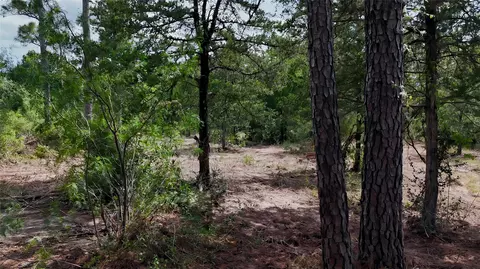 tbd Modock Dr, Bastrop, TX 78602 photo 23