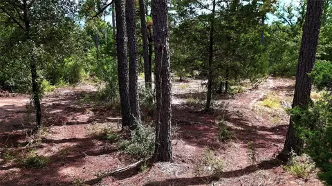 tbd Modock Dr, Bastrop, TX 78602 photo 24