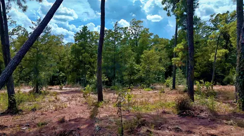 tbd Modock Dr, Bastrop, TX 78602 photo 29