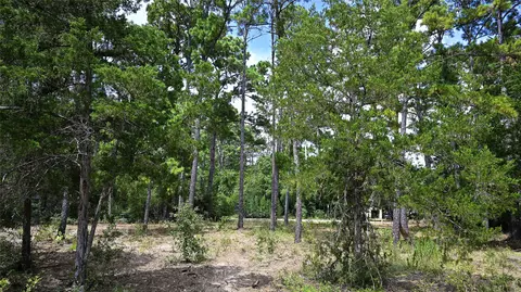 tbd Modock Dr, Bastrop, TX 78602 photo 31