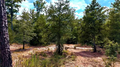 tbd Modock Dr, Bastrop, TX 78602 photo 30