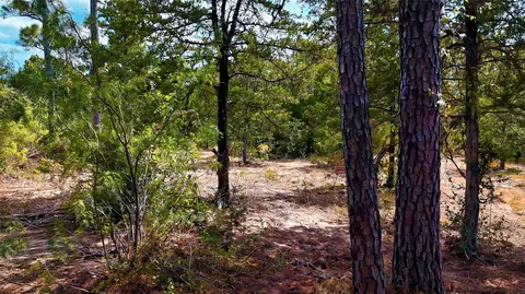 tbd Modock Dr, Bastrop, TX 78602 photo 27