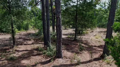 tbd Modock Dr, Bastrop, TX 78602 photo 20