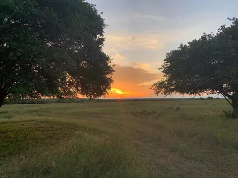 153 High Point Dr, Kempner, TX 76539