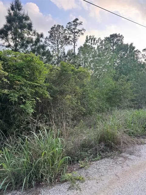 lot1386 N Pahihi Dr, Bastrop, TX 78602