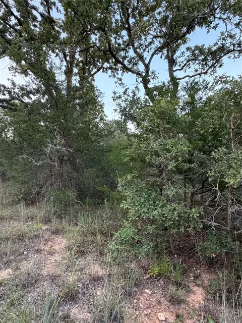 lot4 Spruce St, Paige, TX 78659