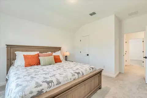 Bedroom - 288 Smithsonian Ln, Kyle, TX 78640 photo 12 of 12
