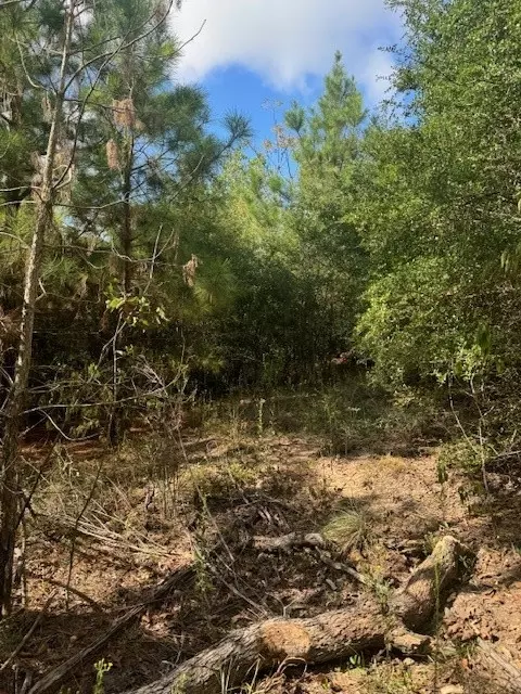 lot1339 Tahitian Dr, Bastrop, TX 78602
