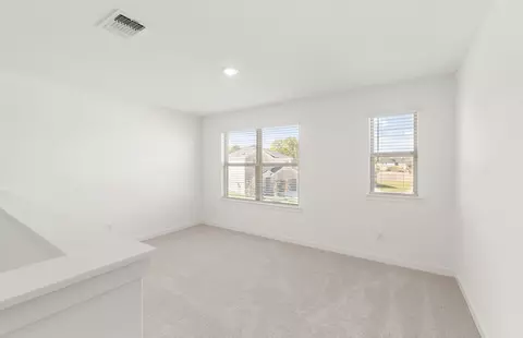 Other - 13324 Cuchillo Path, Manor, TX 78653 photo 3 of 5