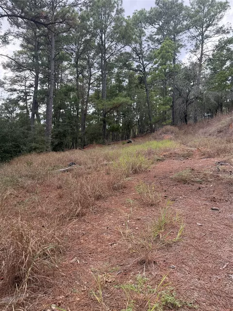 lot69 And 70 Taro Ct, Bastrop, TX 78602