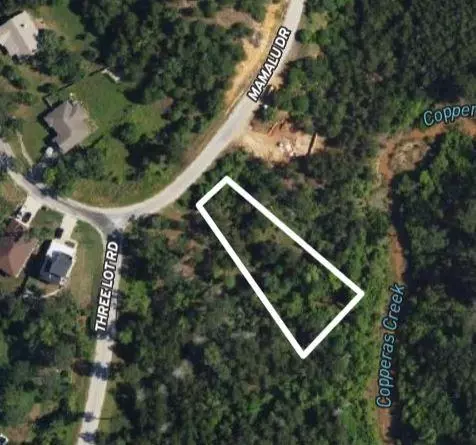 tbd Lot 868 Mamalu Dr, Bastrop, TX 78602