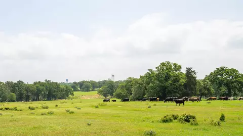 624 County Road 306, Rockdale, TX 76567