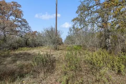 970 Bugtussle Ln, Luling, TX 78648 photo 4