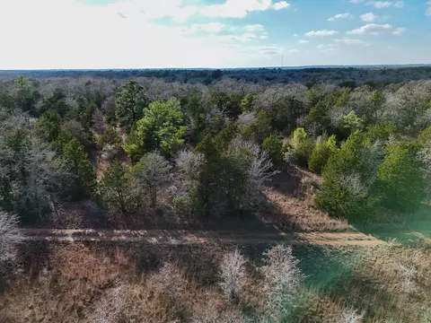 lot11 Antioch Rd, Paige, TX 78659