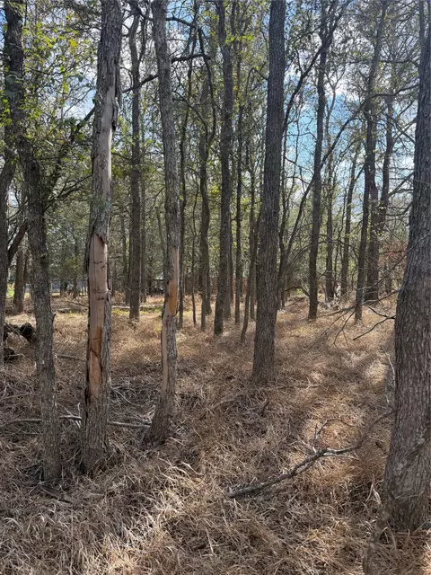 lot118 W Keomuku Ln, Bastrop, TX 78602