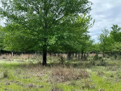 00 Hickory Loop Rd, Thornton, TX 76687 photo 4