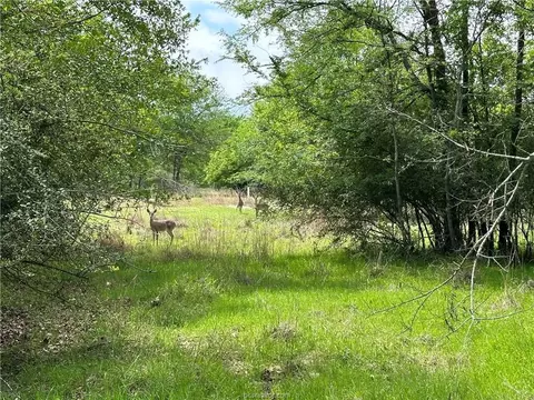 00 Hickory Loop Rd, Thornton, TX 76687 photo 5
