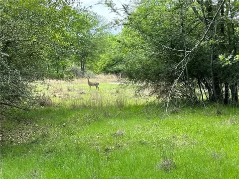00 Hickory Loop Rd, Thornton, TX 76687 photo 6