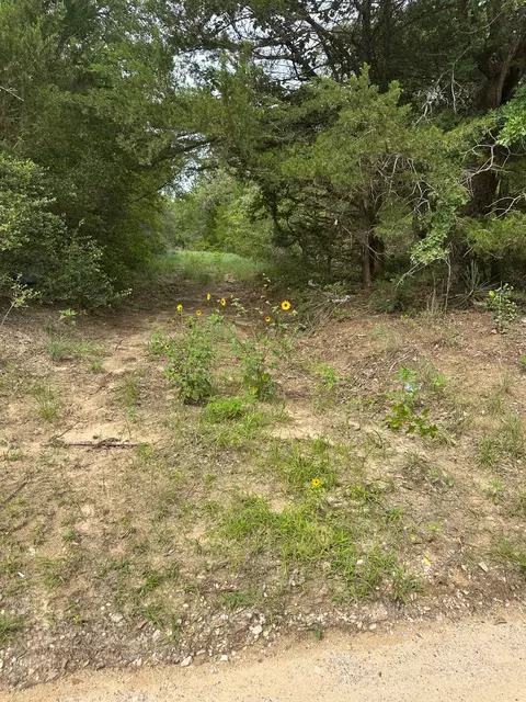 lot58 61 Pecan Dr, Caldwell, TX 77836