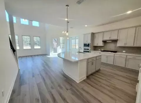 Other - 233 Cactus Tower Path, Georgetown, TX 78628 photo 1 of 4
