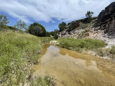 221 W Rolling Oaks Dr, Goldthwaite, TX 76844