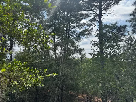 lot S 1263 1264 1265 Hanauma Dr, Bastrop, TX 78602