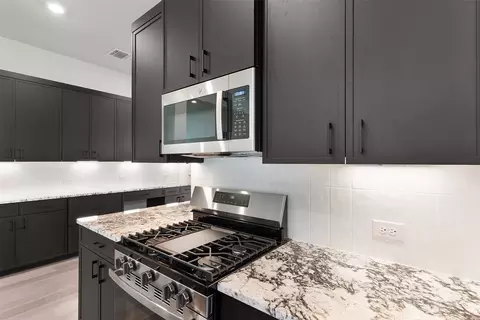 Kitchen - 208 Blue Vervain Trl, Georgetown, TX 78633 photo 3 of 3