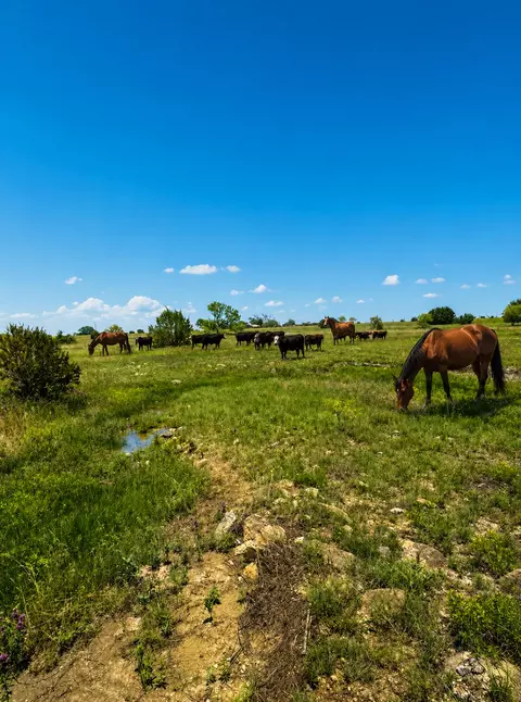 lot24 Private Rd #4220, Hamilton, TX 76531
