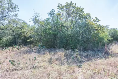 0 Turkey Hollow Rd, Luling, TX 78648 photo 30