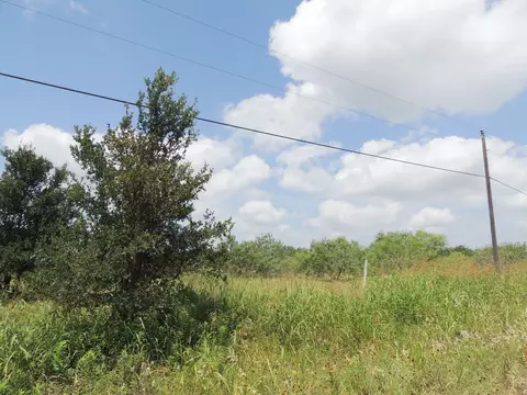 265 Linam Ln, Cedar Creek, TX 78612