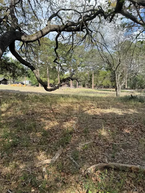 lot141 Pine Song, Bastrop, TX 78602