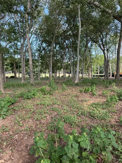 736 E Riverside Dr, Bastrop, TX 78602 photo 3